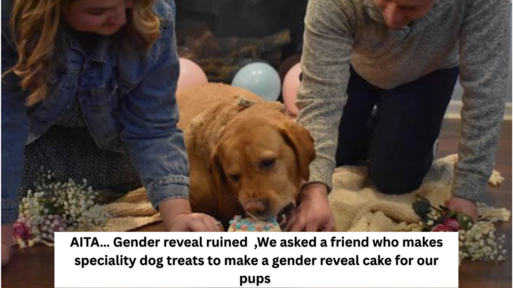 AITA… Gender reveal ruined