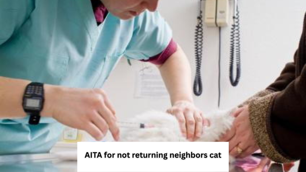 AITA for not returning neighbors cat