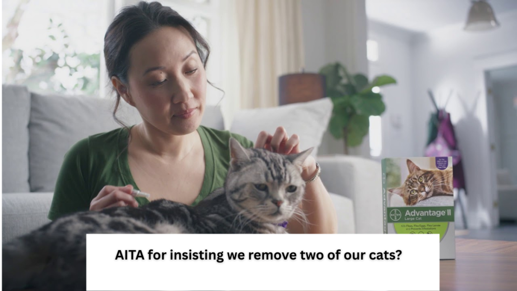AITA for insisting we remove two of our cats?