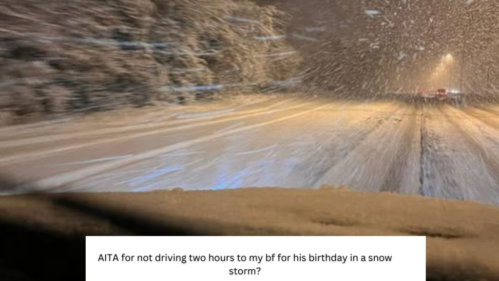AITA for not driving two hours to my bf for his birthday in a snow storm?